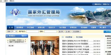 外汇管理局官方汇率查询指南与专业咨询建议