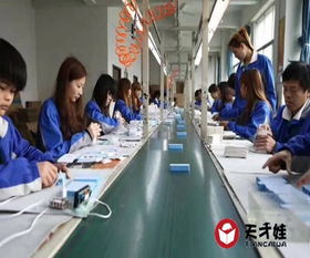 梅州胡巴机器人厂 免费咨询